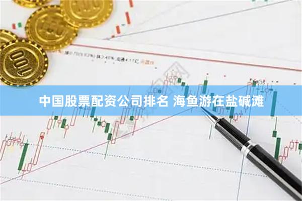 中国股票配资公司排名 海鱼游在盐碱滩